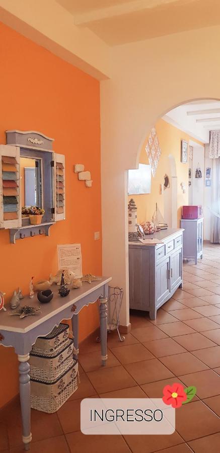 Apartamento Casa Genny Nettuno Exterior foto